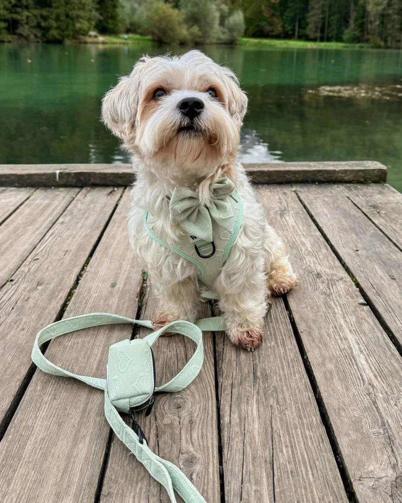 Enchanting Hearts Deluxe Leash