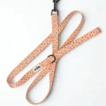 Hedgehog Hug Leash