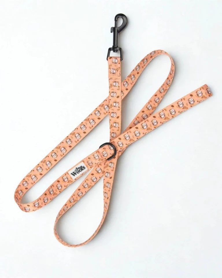 Hedgehog Hug Leash