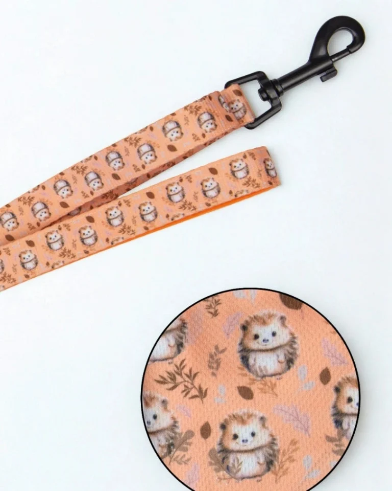 Hedgehog Hug Leash