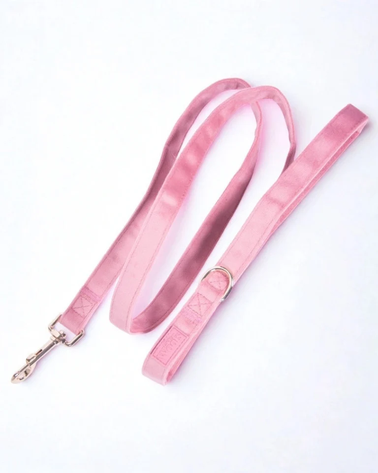 Rosé Leash