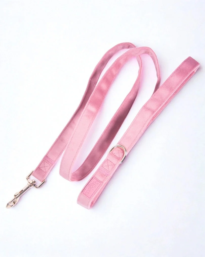 Rosé Leash