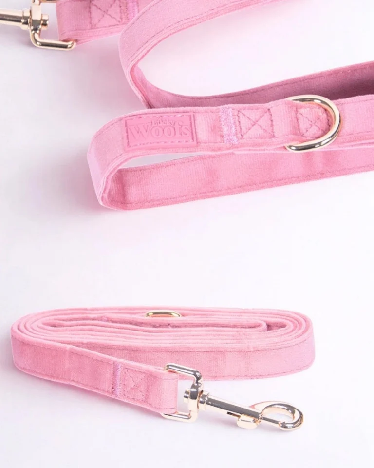 Rosé Leash
