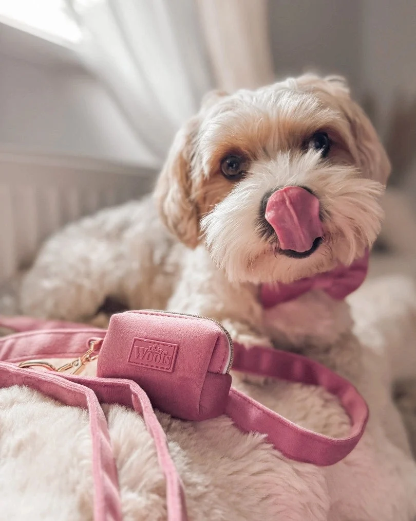 Rosé Leash