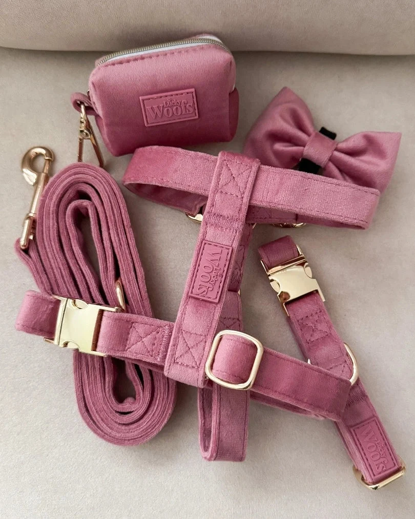 Rosé Leash