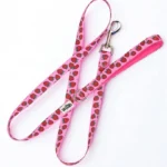 Strawberry Bliss Leash