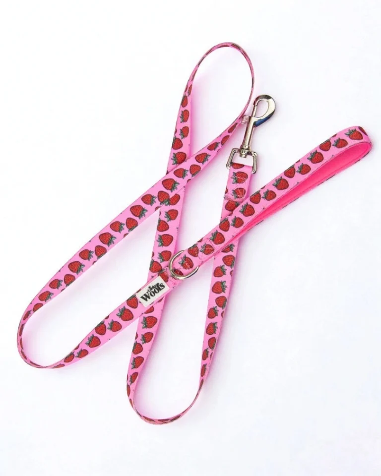 Strawberry Bliss Leash