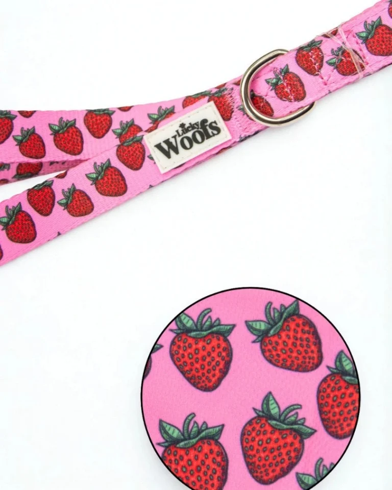 Strawberry Bliss Leash