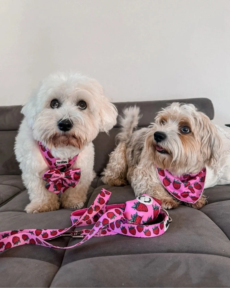 Strawberry Bliss Leash