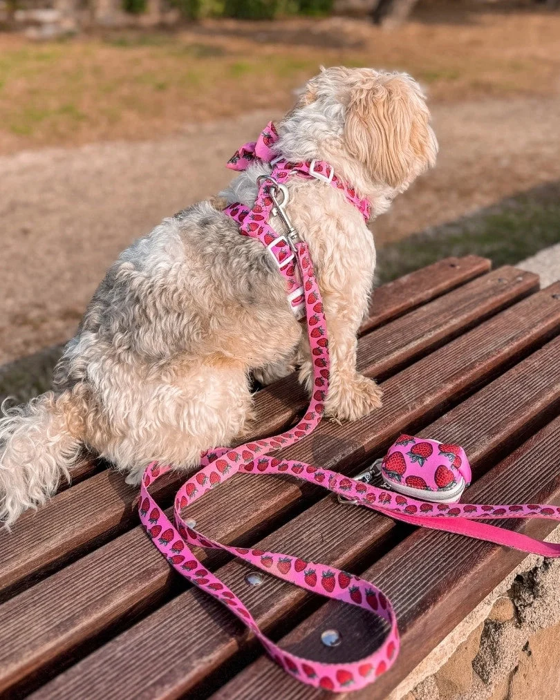 Strawberry Bliss Leash