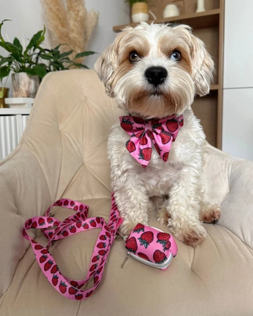 Strawberry Bliss Leash