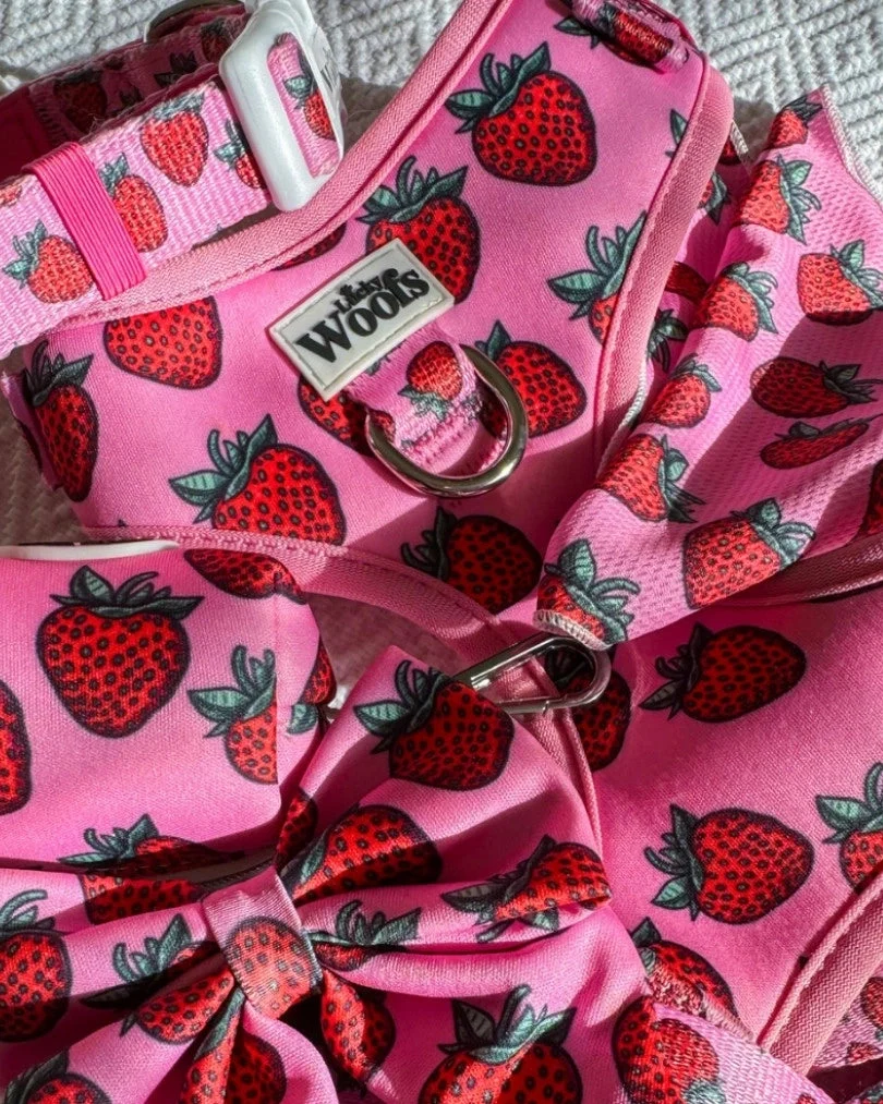 Strawberry Bliss Leash