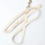 Sunny Bloom Leash