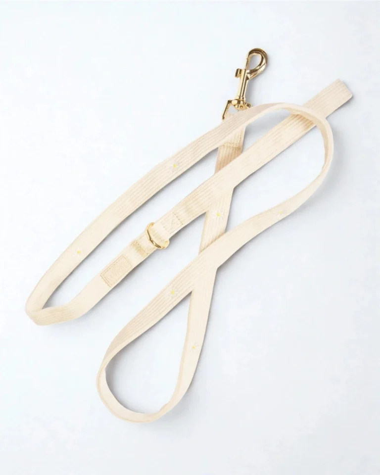 Sunny Bloom Leash