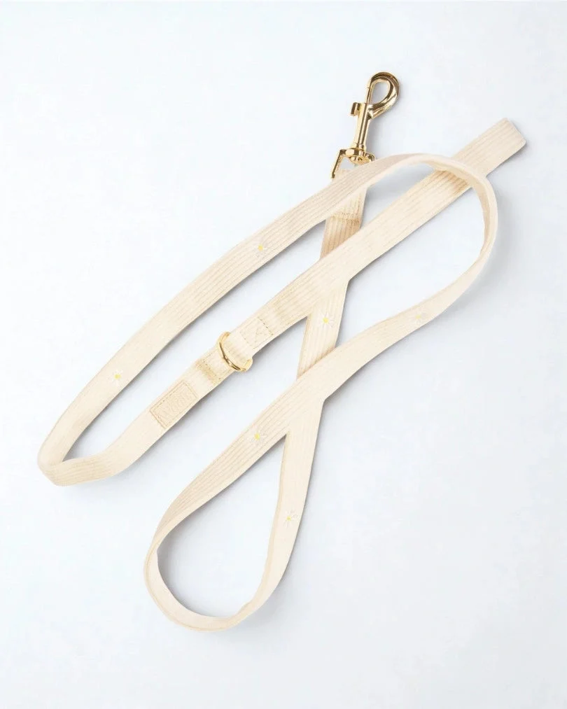 Sunny Bloom Leash