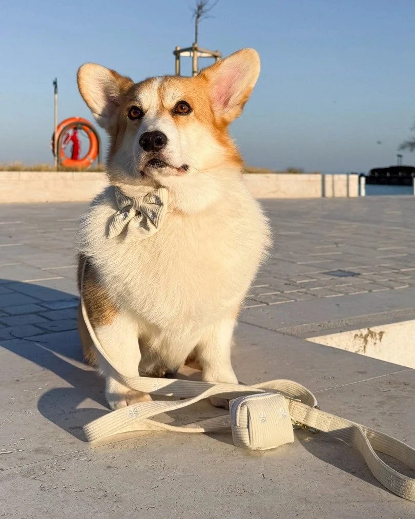 Sunny Bloom Leash