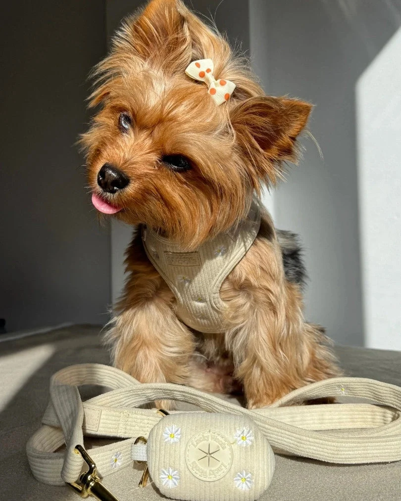 Sunny Bloom Leash