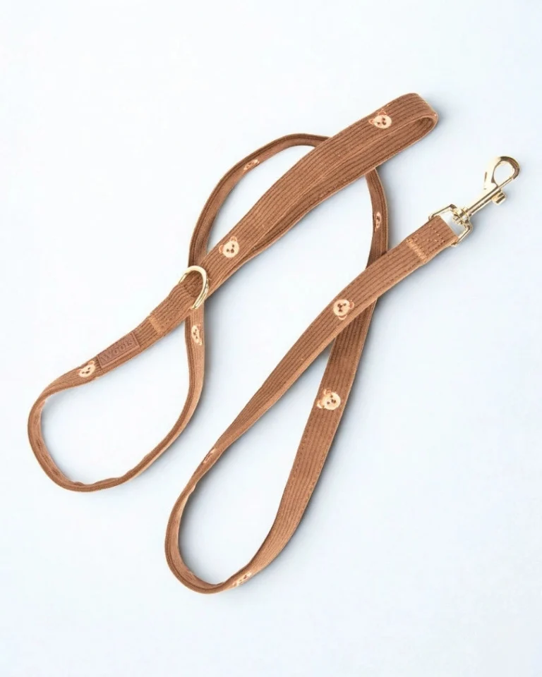 Teddy Bear Leash