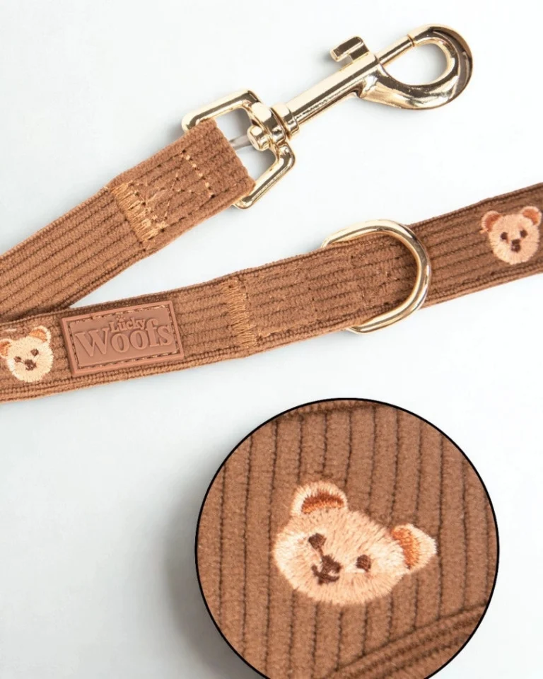 Teddy Bear Leash