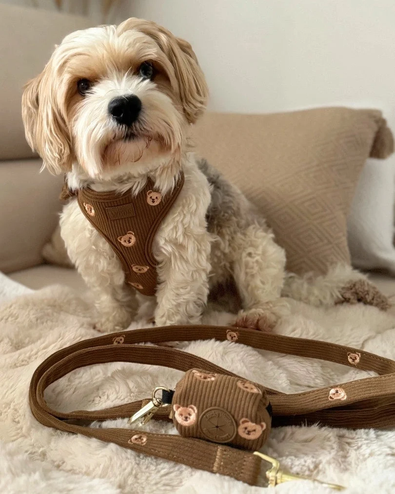 Teddy Bear Leash