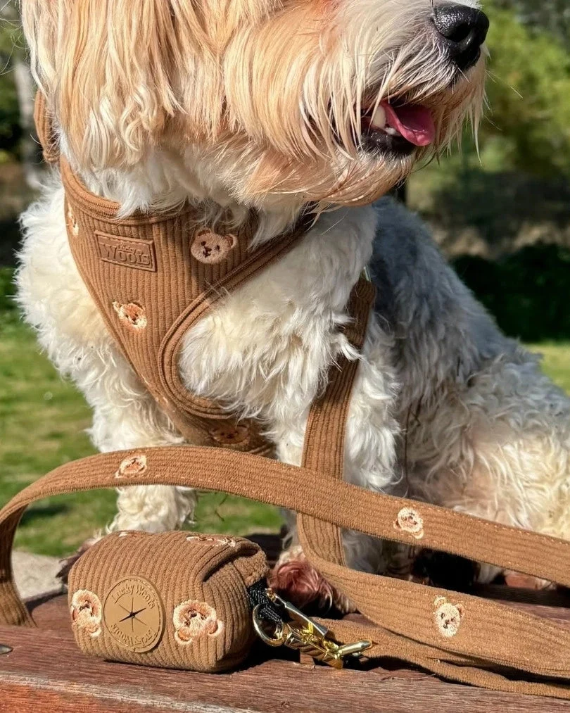Teddy Bear Leash
