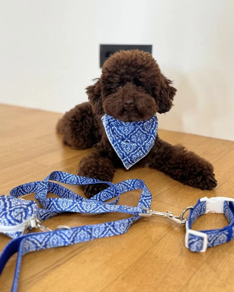 Blue Majesty Bandana
