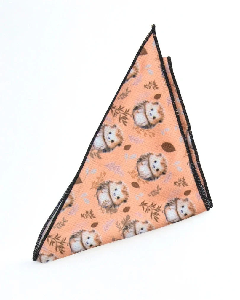 Hedgehog Hug Bandana