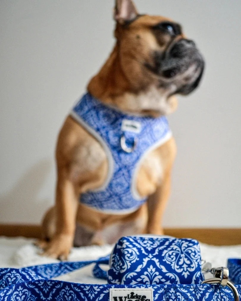 Blue Majesty Poop Bag Holder