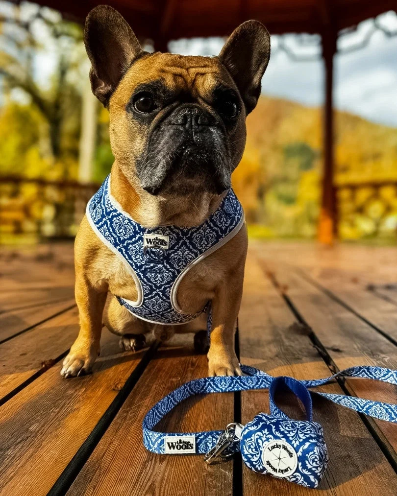 Blue Majesty Poop Bag Holder