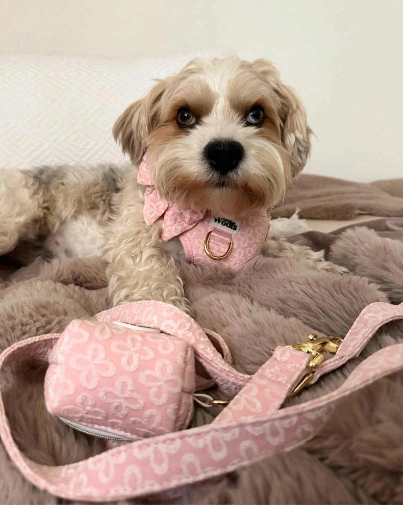 Blush Blossom Premium Poop Bag Holder
