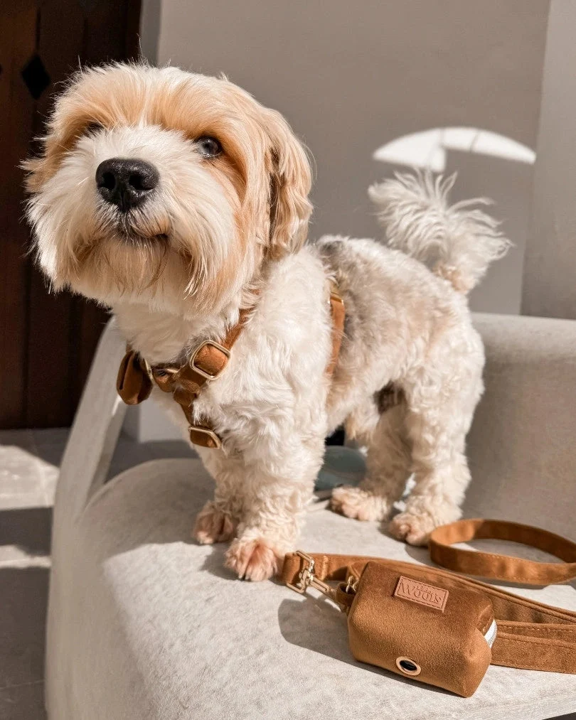 Caramel Poop Bag Holder