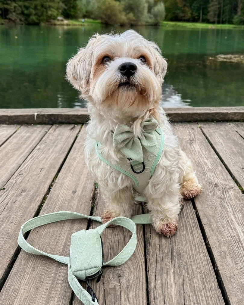 Enchanting Hearts Deluxe Poop Bag Holder