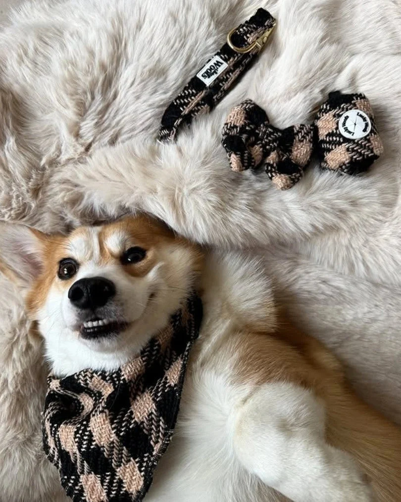 Fluffy Elite Fatal Poop Bag Holder