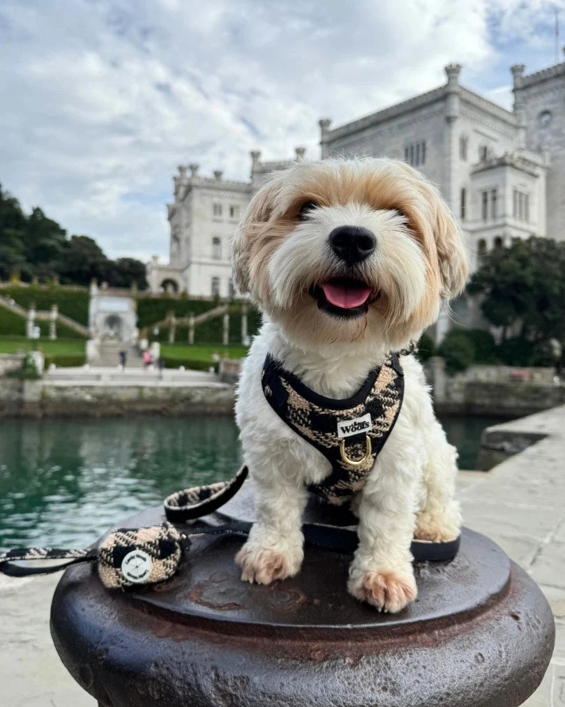 Fluffy Elite Fatal Poop Bag Holder