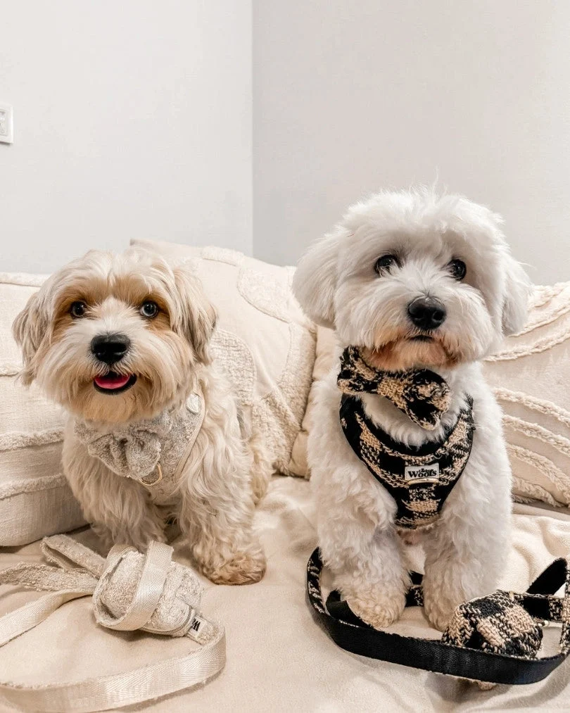 Fluffy Elite Vivid Poop Bag Holder
