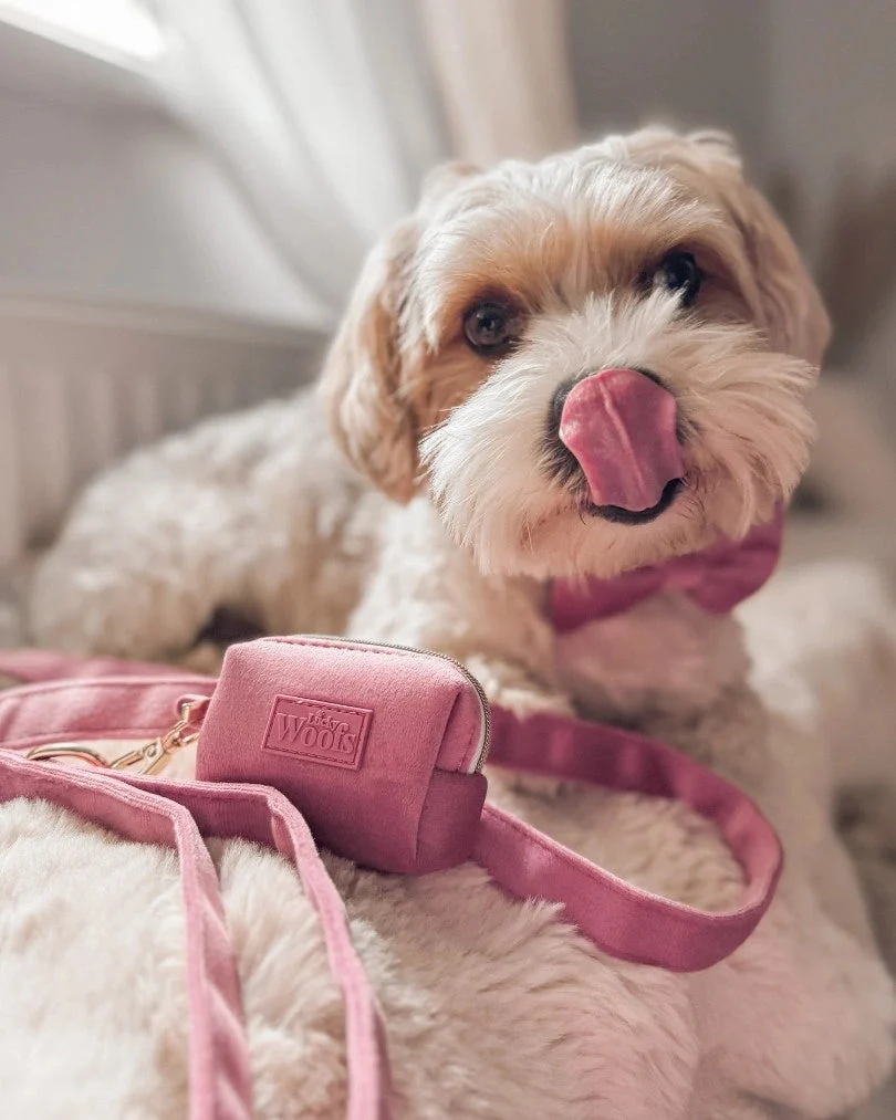 Rosé Poop Bag Holder