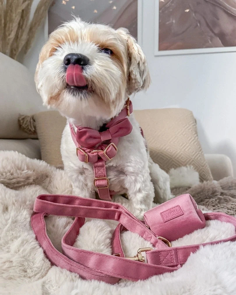 Rosé Poop Bag Holder