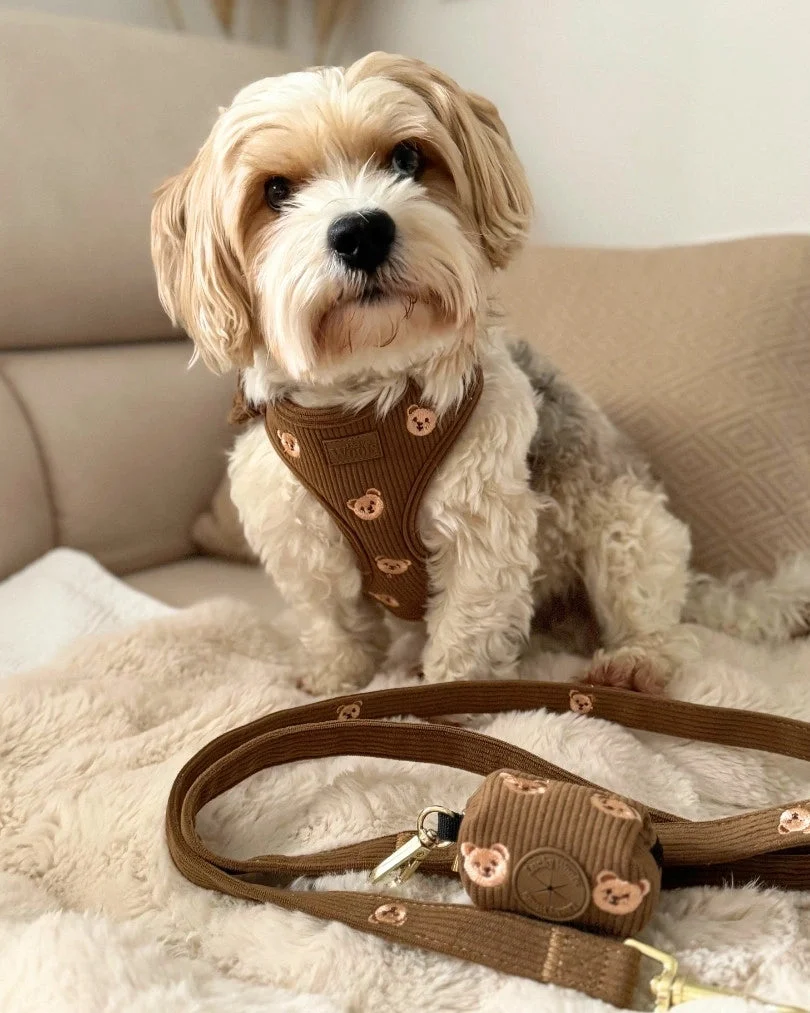 Teddy Bear Poop Bag Holder