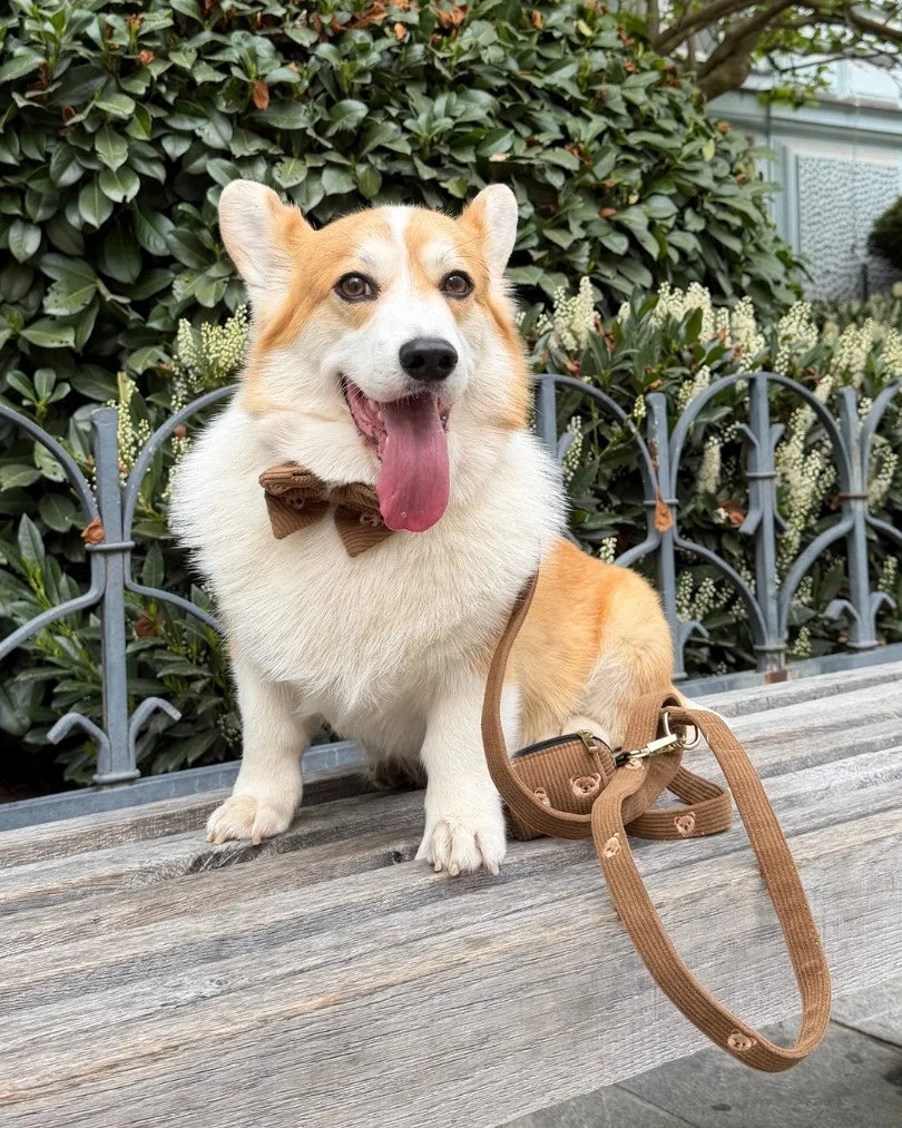 Teddy Bear Poop Bag Holder